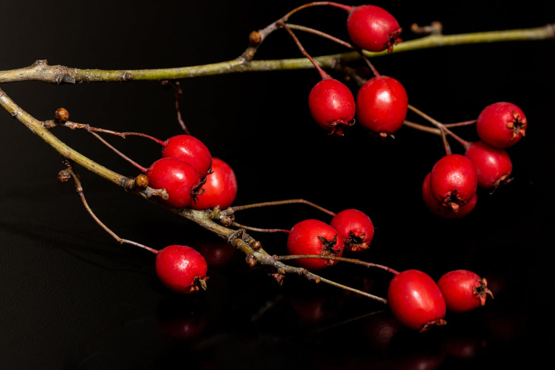 Rose Hips With C Serum