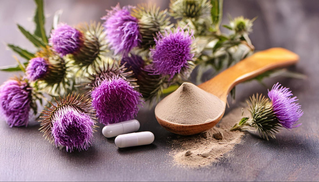 Thistle flowers alongside powdered thistle and pills on a neutral background.